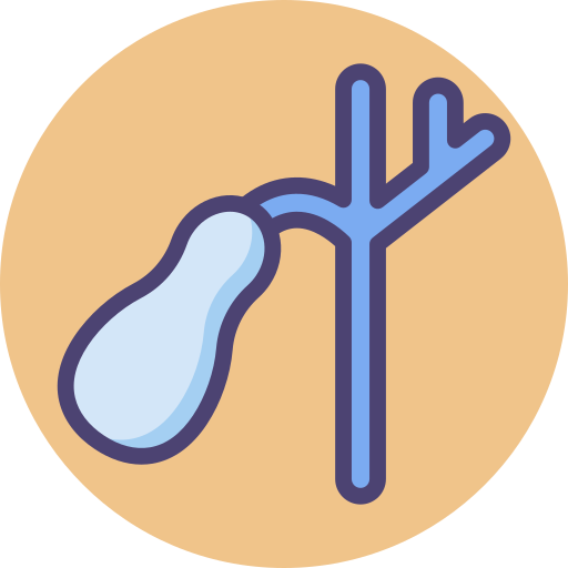 cirugia vesicula icono